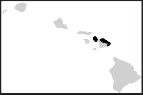 Maui ʻakepa range